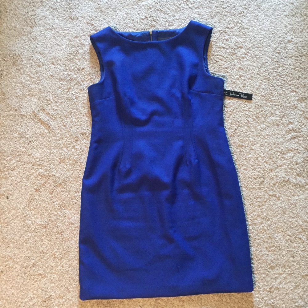 NWT Blue Sheath Dress